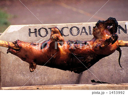 豚 丸焼き ハワイ バーベキューの写真素材