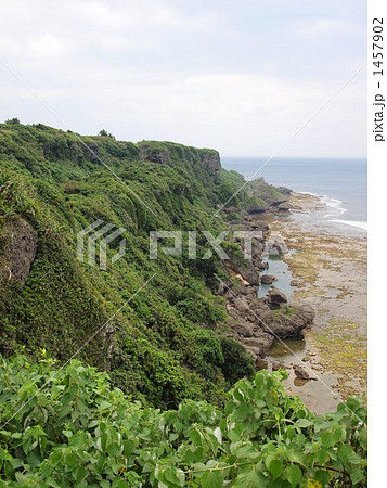 海岸 崖 摩文仁の丘 植物の写真素材 Pixta
