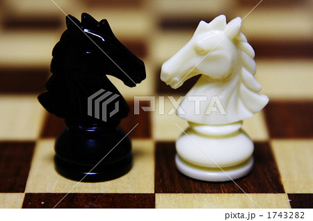 チェス 雑貨 小物 ナイトの写真素材
