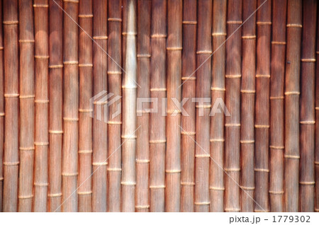 塀 竹垣 竹 生垣 枯れるの写真素材