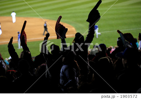 客席 野球場の写真素材