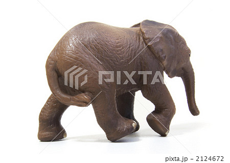 アフリカゾウ 哺乳類 野生動物 後姿の写真素材 アフリカゾウ 哺乳類 野生動物 後姿の写真素材
