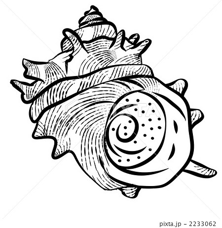 栄螺 巻貝 サザエ 貝のイラスト素材