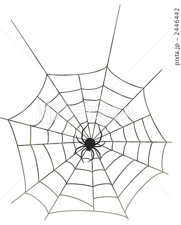 くも 蜘蛛 蜘蛛の巣 くもの巣のイラスト素材