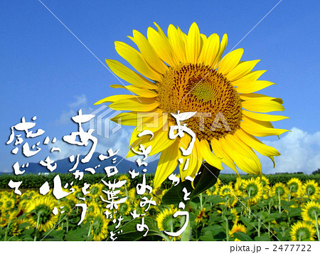 詩 感謝 言葉 書の写真素材