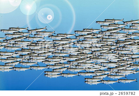 魚群のイラスト素材