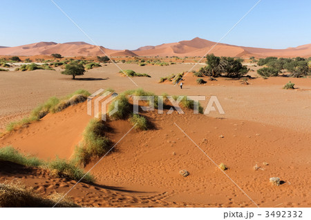 砂紋 ナミブ砂漠 砂漠 赤茶色の写真素材 Pixta