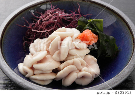 写真・イラストカテゴリから検索