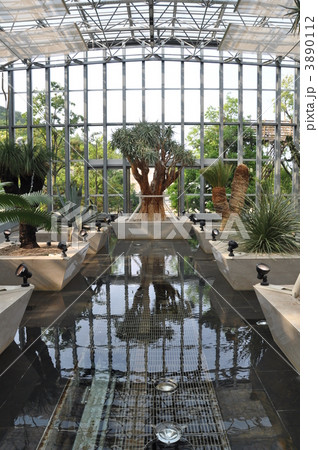植物園 植木 淡路島 温室の写真素材