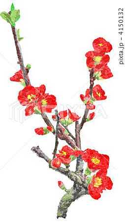 赤い花のイラスト素材