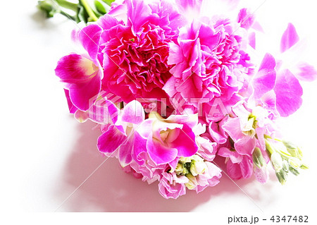 花 花束 カトレア ブーケの写真素材