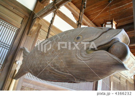 煎茶碗10客黄檗山萬福寺赤絵(魚鼓魚ほう)