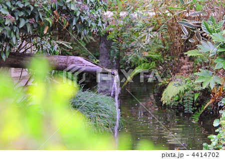 ししおどし 鎌倉 池 日本庭園の写真素材