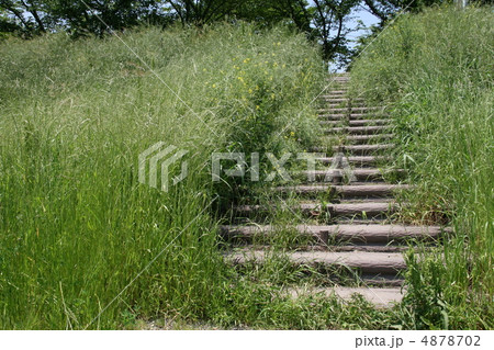 階段 雑草 土手 河川敷の写真素材