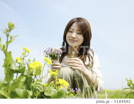 花を摘むの写真素材 - PIXTA