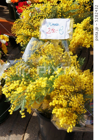 バルセロナ 花屋 ランブラス通り スペイン カラフルの写真素材