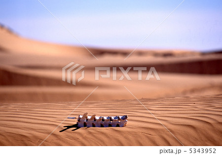 砂漠 骨 アザライ 塩の道の写真素材