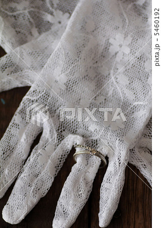 総レース 手袋の写真素材 総レース 手袋の写真素材