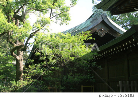 明治神宮客殿の写真素材