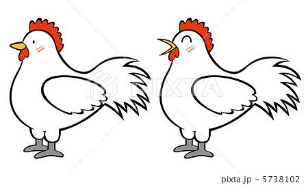 ニワトリ にわとり 鶏 動物のイラスト素材