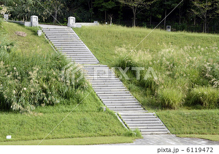 階段 土手 斜面 公園 薄の写真素材