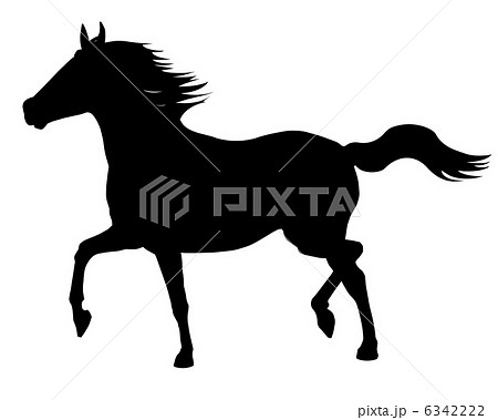 シルエット 馬 影絵 ウマのイラスト素材