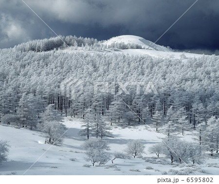 雪景色 雪 冬景色 美ヶ原高原の写真素材