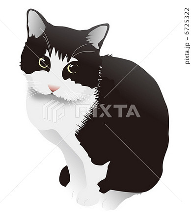 黒猫 猫 座る 小動物のイラスト素材