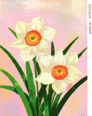スイセン 水仙 花 絵画風の写真素材