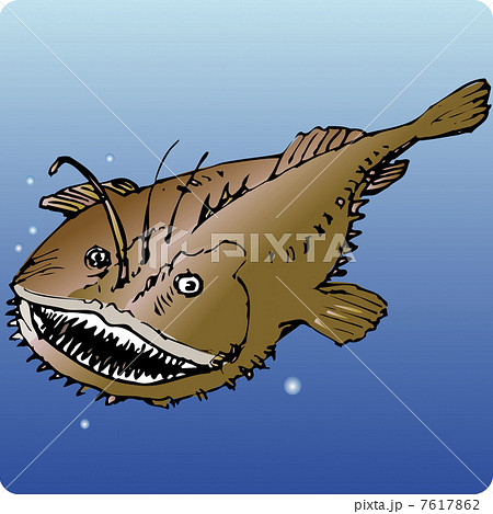 アンコウのイラスト素材