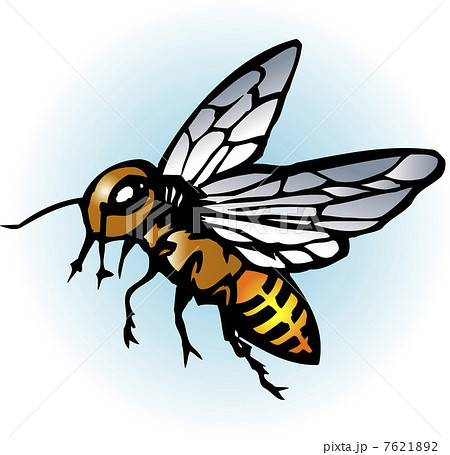 蜂 ミツバチ イラスト 切り絵の写真素材