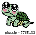カメちゃんのイラスト素材 [7765134] - PIXTA