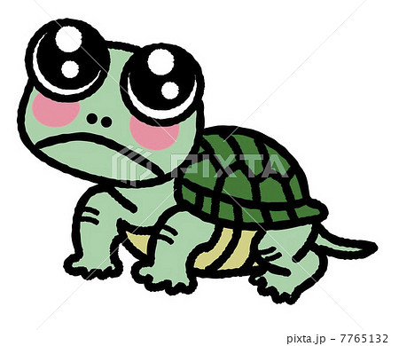 ゼニガメ 甲羅 自然 かわいいのイラスト素材 - PIXTA