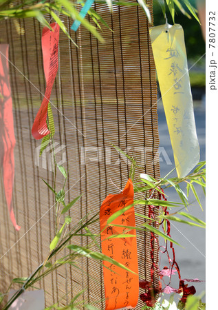 七夕 七夕飾り すだれ 竹の写真素材