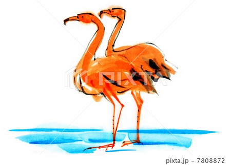 フラミンゴ かわいい 夏 和のイラスト素材