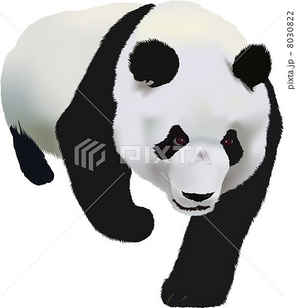 シェイシェイ 上野動物園の写真素材