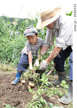 男の子 畑 農作業 おじいちゃんの写真素材
