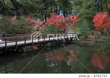 須賀川 紅葉の写真素材