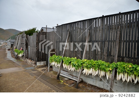 津軽カッチョ 青森県の写真素材