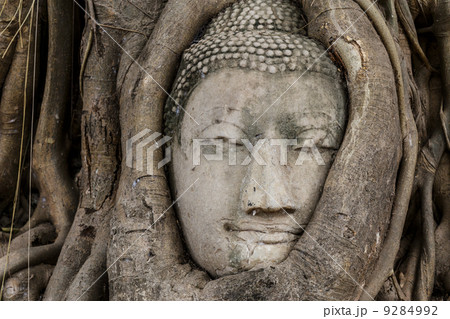 アユタヤの仏頭の写真素材 - PIXTA