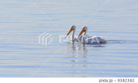 ソルトン湖の写真素材 ソルトン湖の写真素材