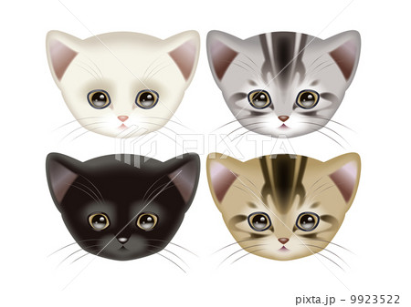 アメショー アメリカンショートヘア イラスト ネコ 猫 可愛いのイラスト素材