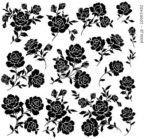 美しい花の画像 トップ100バラ イラスト 白黒