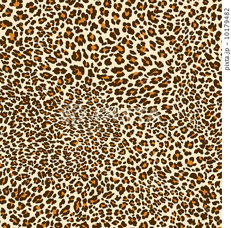 ヒョウ柄のイラスト素材