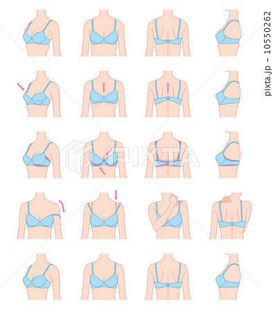 カップ 胸 バスト サイズのイラスト素材