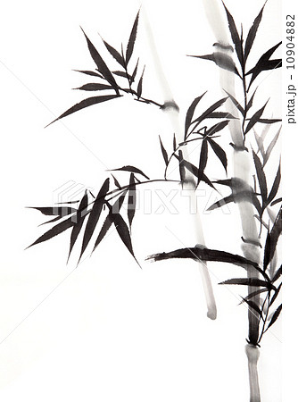 竹 モノクロ 植物 白黒のイラスト素材