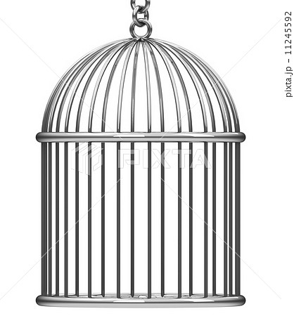 バードケージ 監獄 鳥篭 鳥籠のイラスト素材 Pixta
