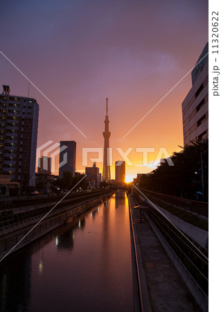 夕暮れ 商店街 夕方 街 建物 東京都 雲 町並み ビル 逆光の写真素材