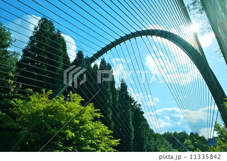 Sakura in the tunnel of Miho Museum - Stock Photo [76386128] - PIXTA