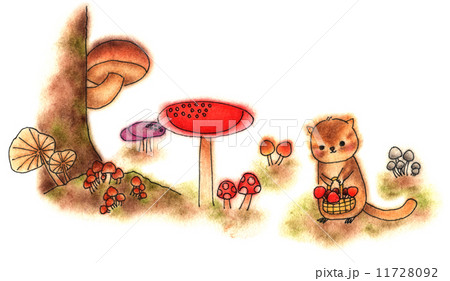 リス 茸 きのこ キノコ狩りのイラスト素材